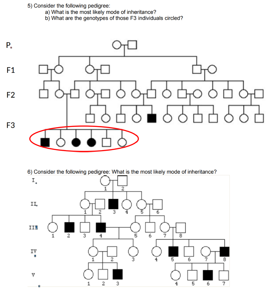 Solved 5) Consider the following pedigree: a) What is the | Chegg.com