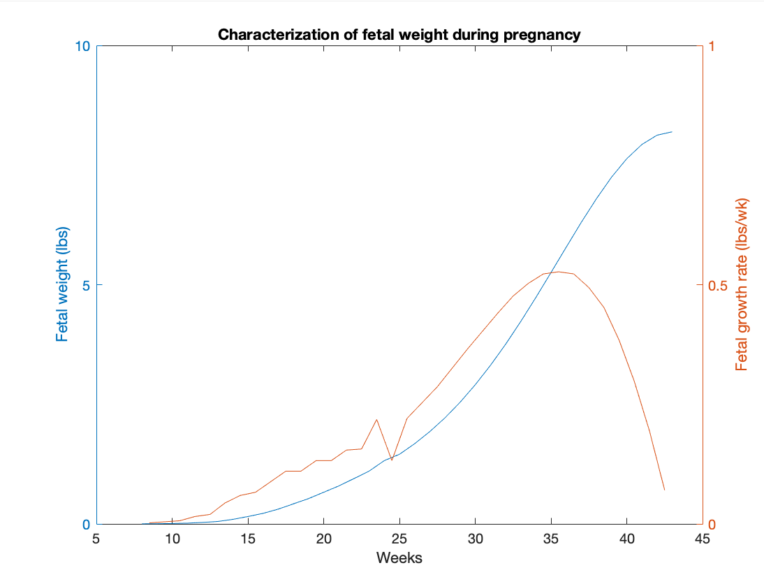 Solved At what week does the typical fetus slow their weight