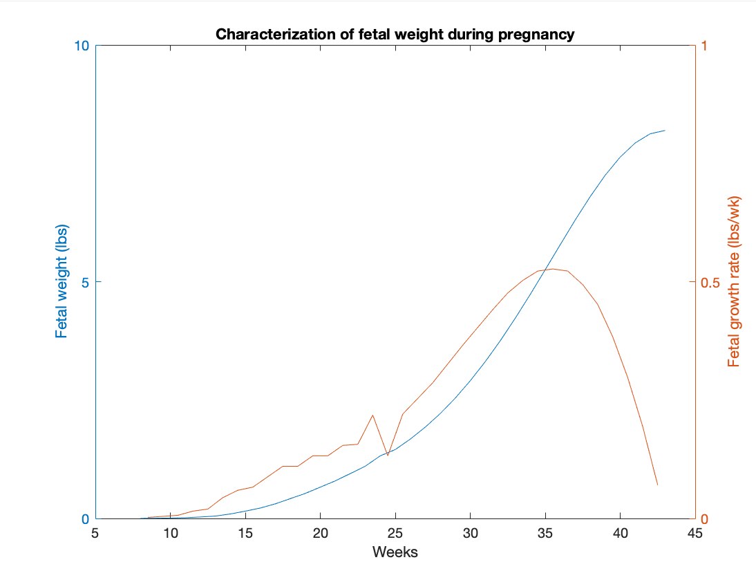 solved-at-what-week-does-the-typical-fetus-slow-their-weight-chegg