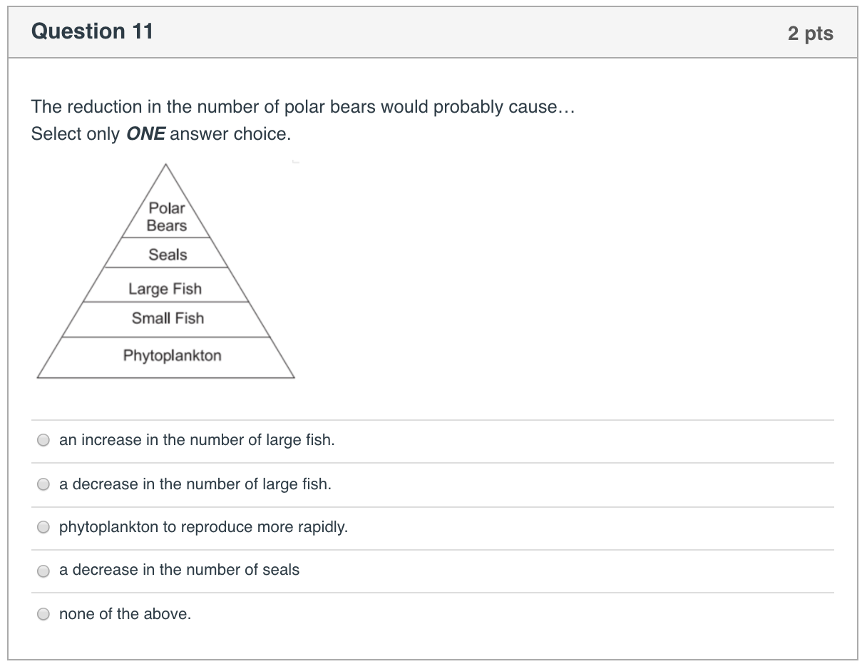 Solved Question 1 2 pts Below are 4 terms. Look at these | Chegg.com