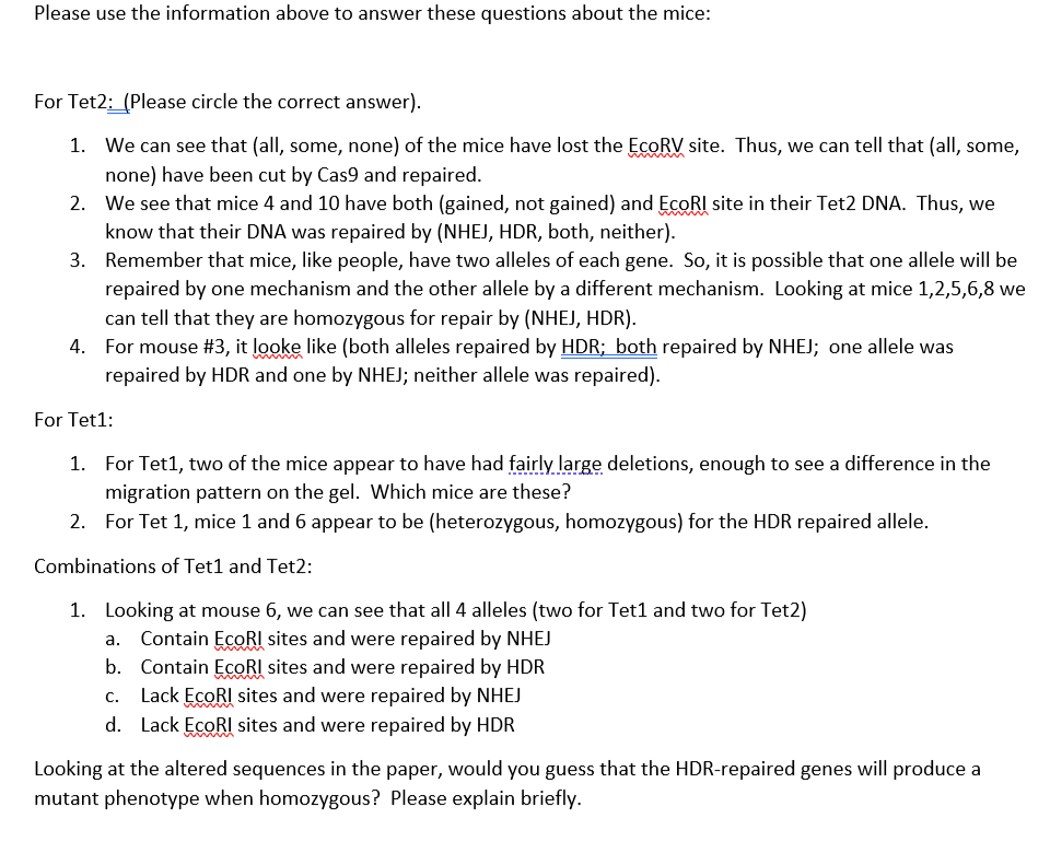 Crispr Worksheet Answers