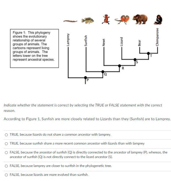 Solved Lamprey Sunfish Figure 1: This phylogeny shows the | Chegg.com