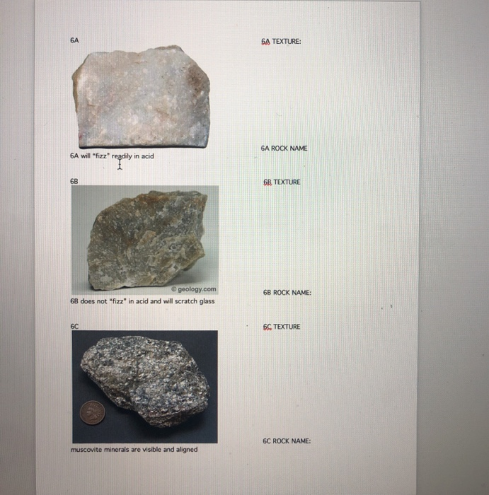 NAME: GEOL 1101 LAB #4 METAMORPHIC ROCKS urs during | Chegg.com