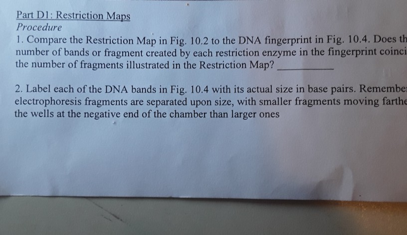 Fig 10 2 Restriction Map Of 50 000 Base Pair DNA Chegg Com   Image 