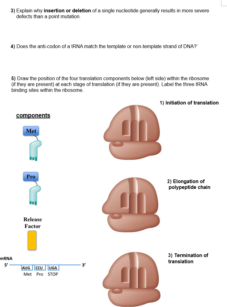 Solved 3) Explain why insertion or deletion of a single | Chegg.com