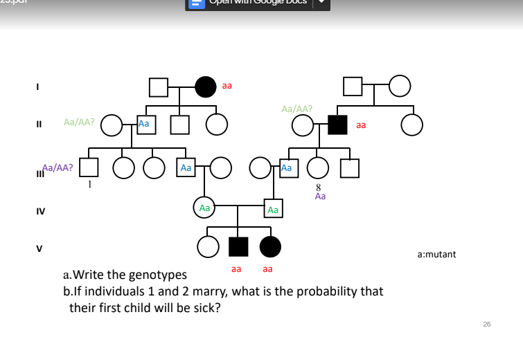a.Write the genotypes
b.If individuals 1 and 2 marry, what is the probability that their first child will be sick?