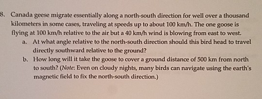 canada goose migration questions
