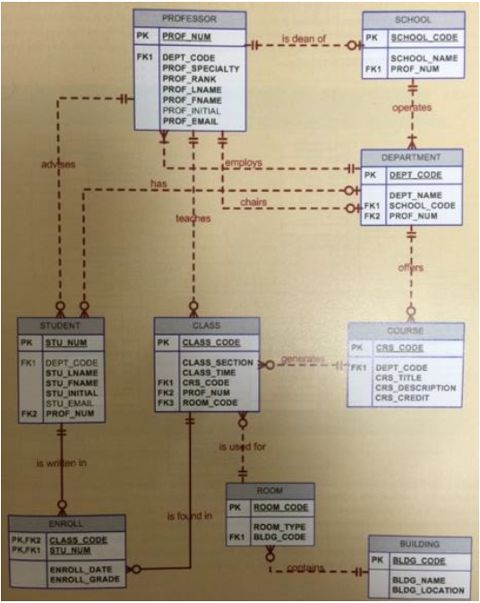 Solved **This is based on Oracle database** How many 1:1 | Chegg.com