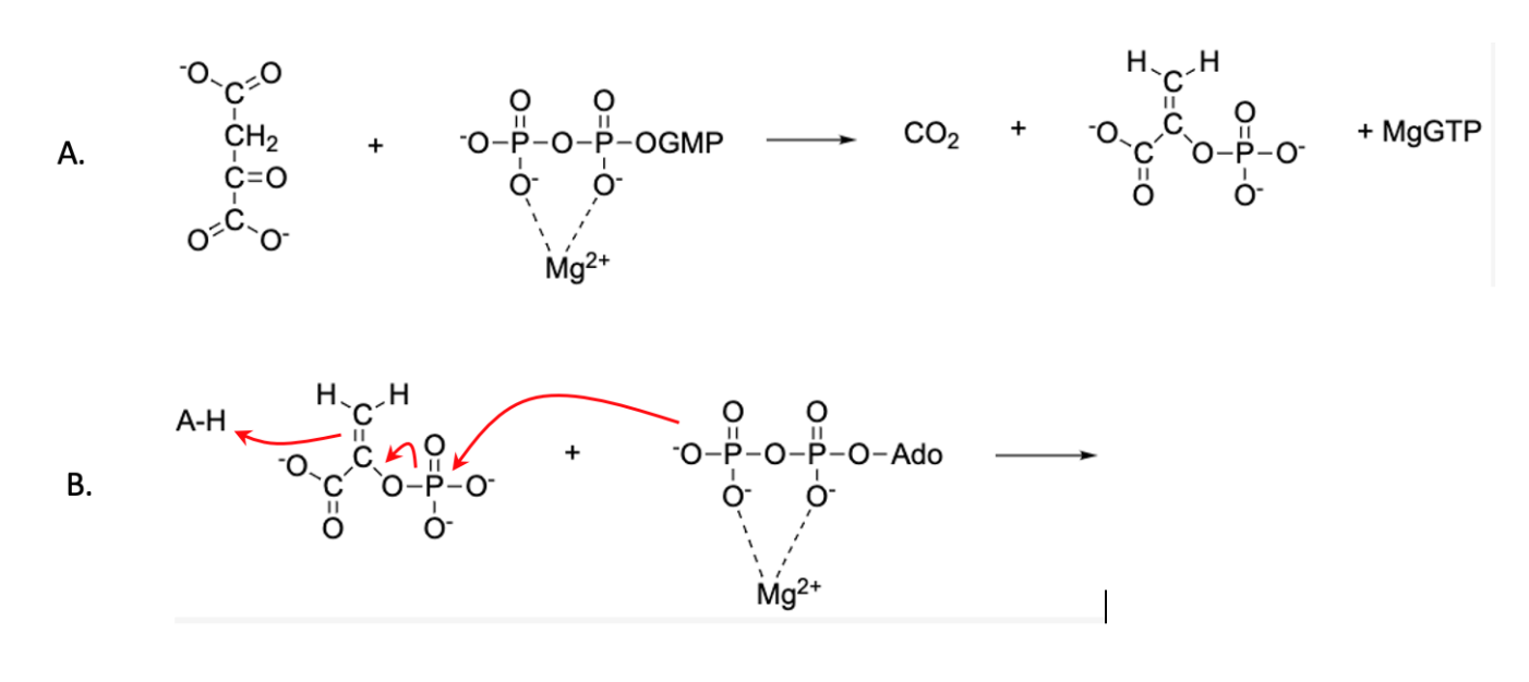 Solved For reaction A, draw in the arrows to indicate the | Chegg.com