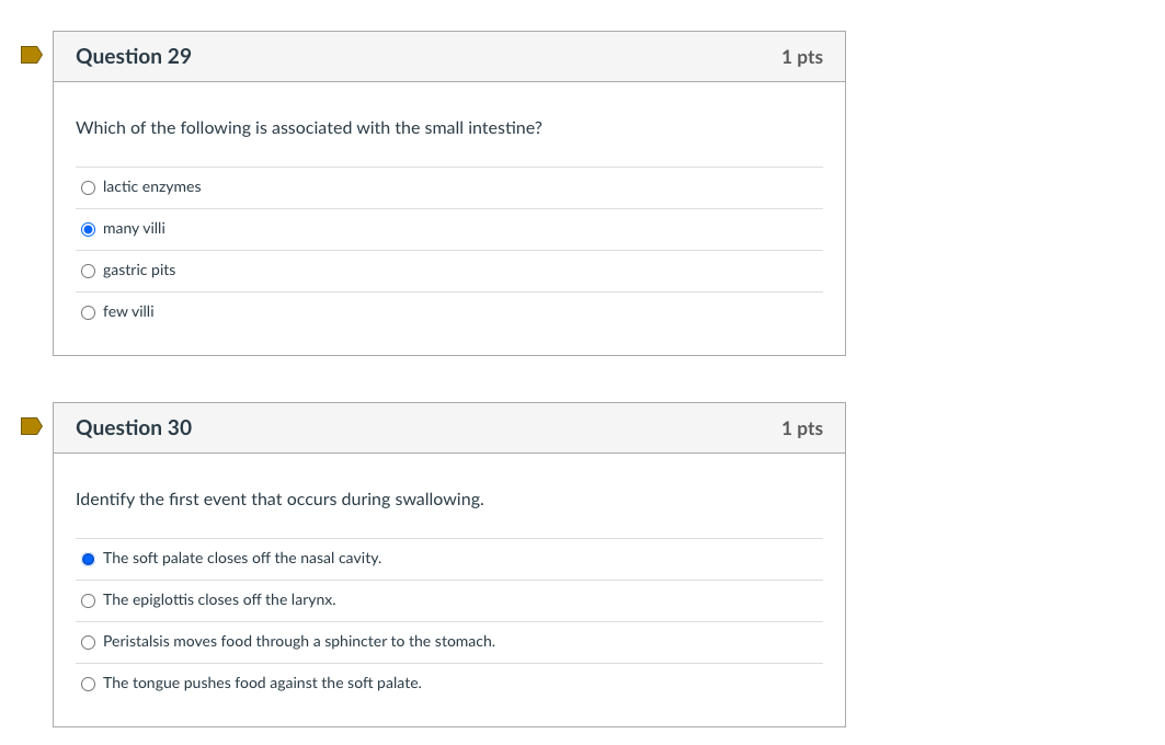 solved-which-of-the-following-is-associated-with-the-small-chegg