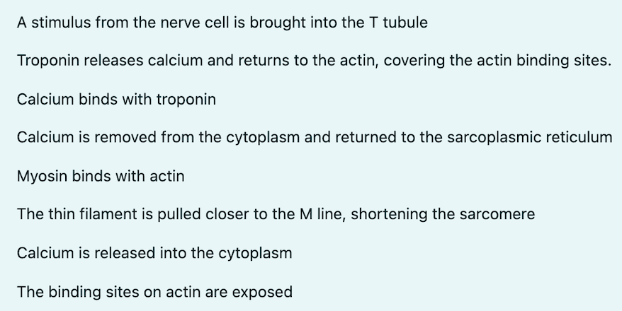 solved-place-the-following-steps-of-muscle-contraction-in-chegg