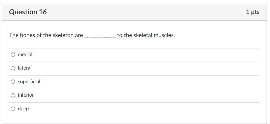 The bones of the skeleton are to the skeletal muscles.
medial
lateral
superficial
inferior
deep