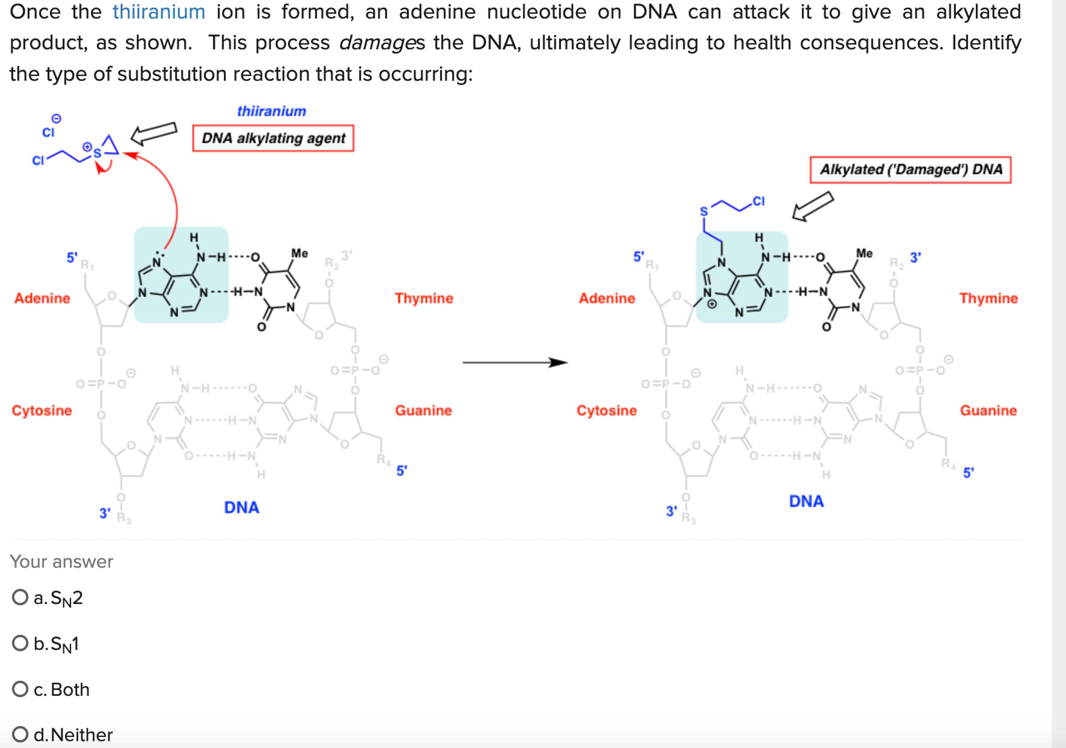 Thiranium Solved Once the thiiranium ion is formed, an adenine | Chegg.com