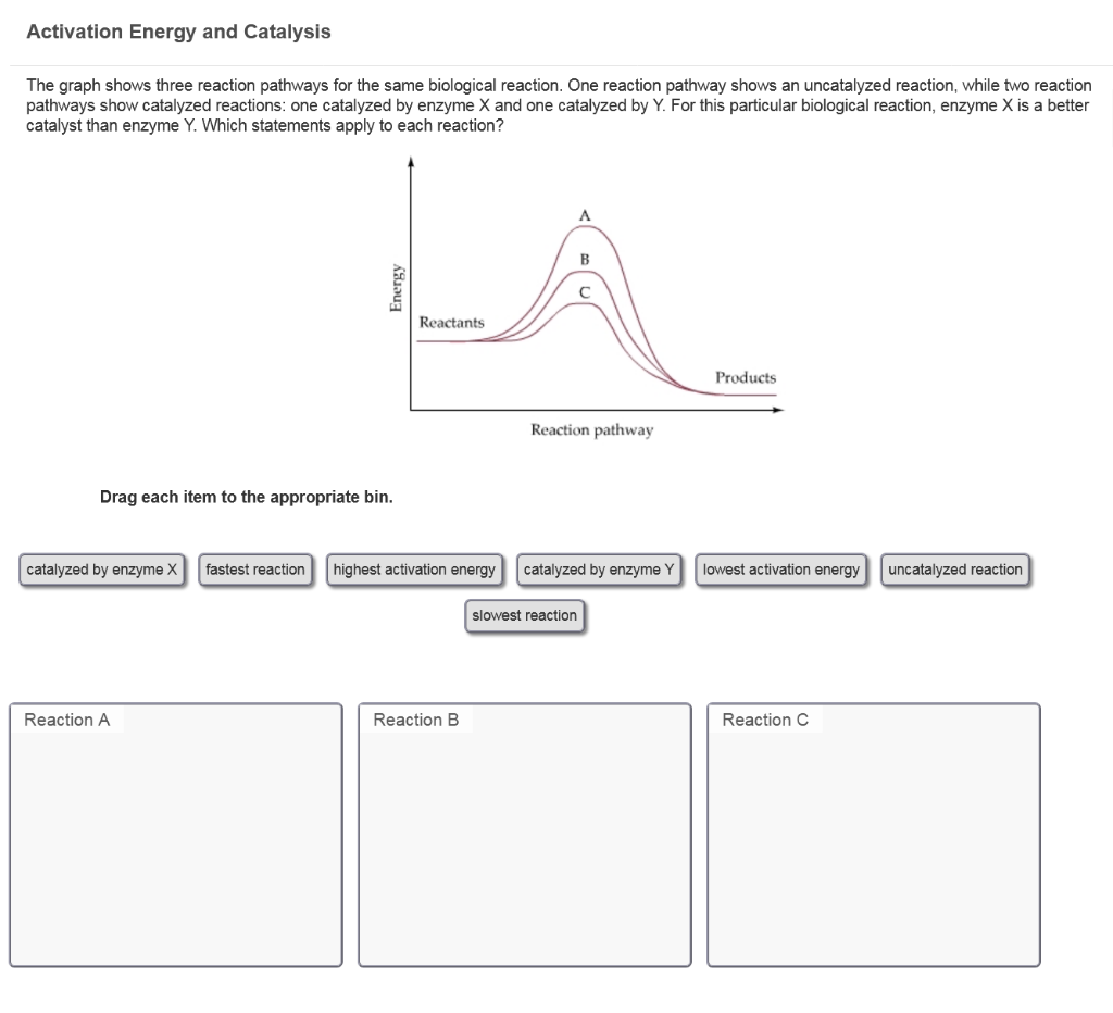 Solved Activation Energy and Catalysis The graph shows three