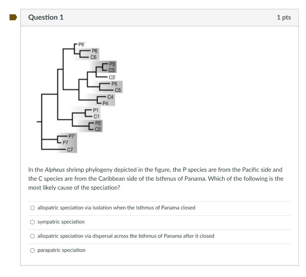 Solved Question 10 4 pts Match the barrier example with the | Chegg.com