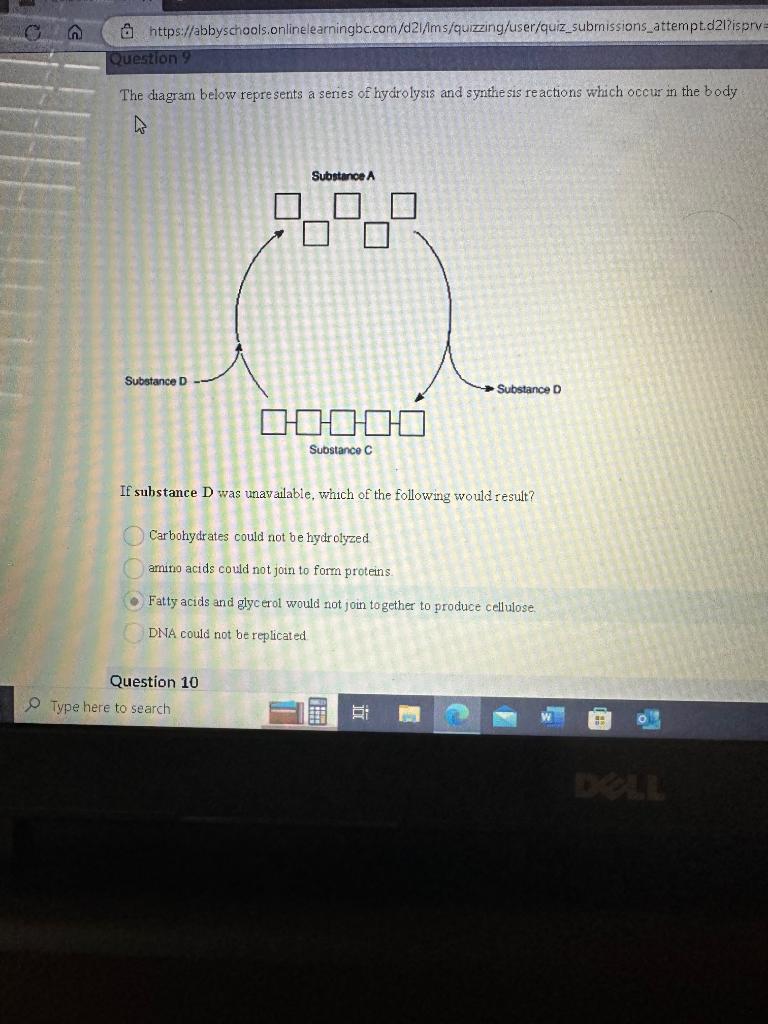 Solved The diagram below represents a series of hydrolysis | Chegg.com
