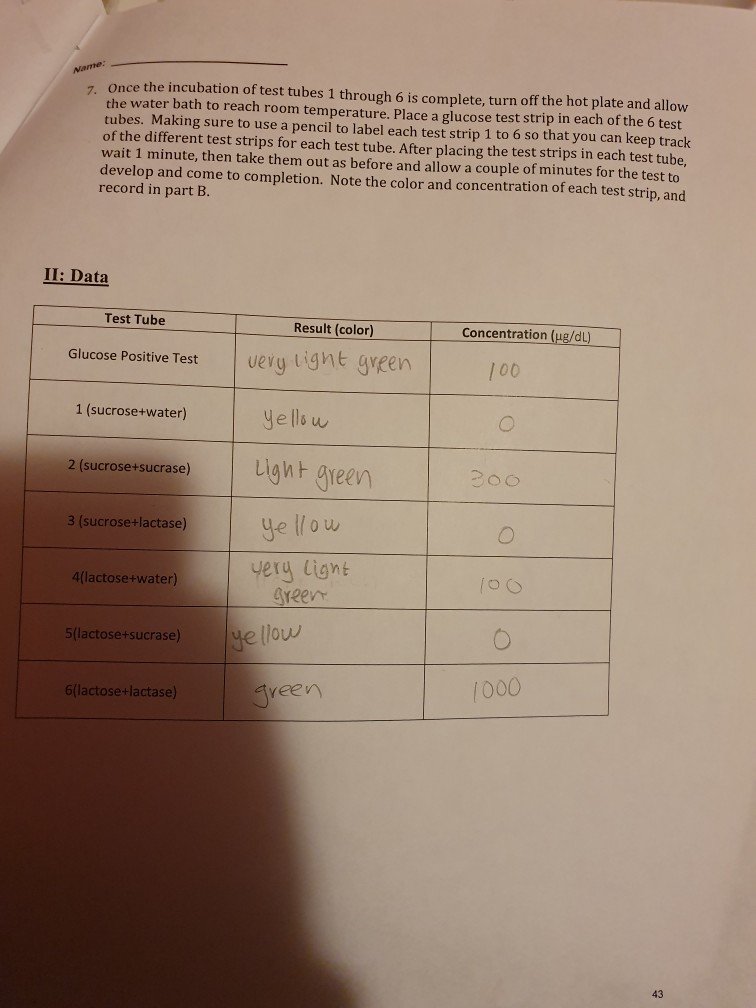 Solved Enzyme Specificity Are Sucrase and Lactase specific