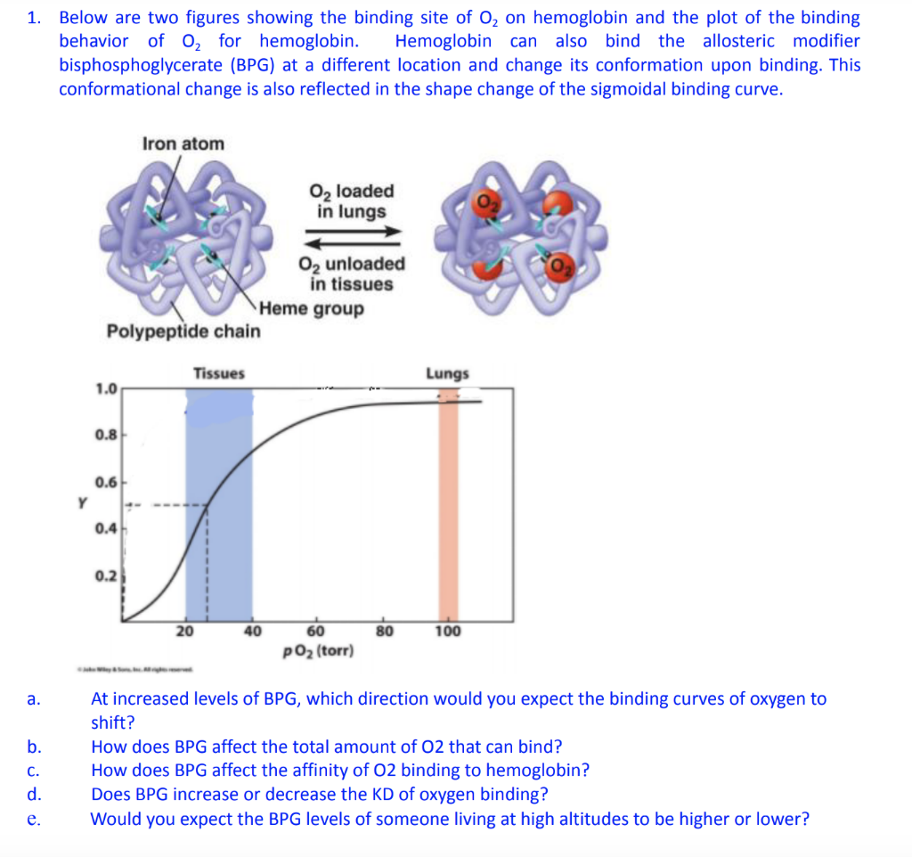 Solved 1. Below are two figures showing the binding site of | Chegg.com