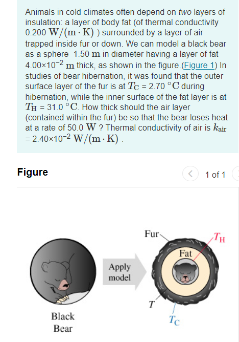 Animals in cold climates often depend on two layers of insulation: a layer of body fat (of thermal conductivity \( 0.200 \mat