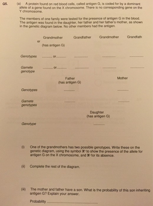 Solved Q5. (a) A protein found on red blood cells, called