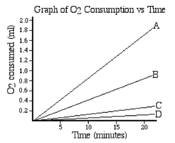 Solved 25. Using the graph below, make two | Chegg.com