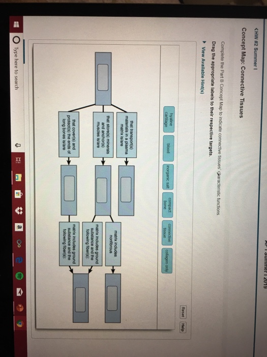 Solved HWS1 SUmmer ncept Map: Movement Across Membranes Dr | Chegg.com