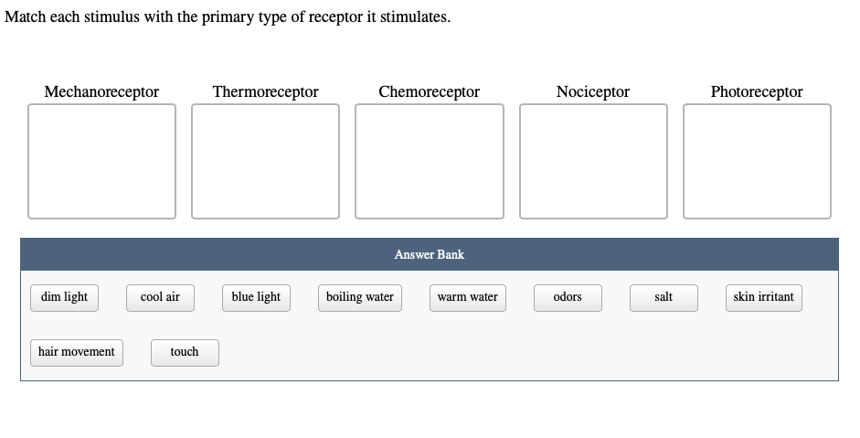 Solved Match each stimulus with the primary type of receptor | Chegg.com