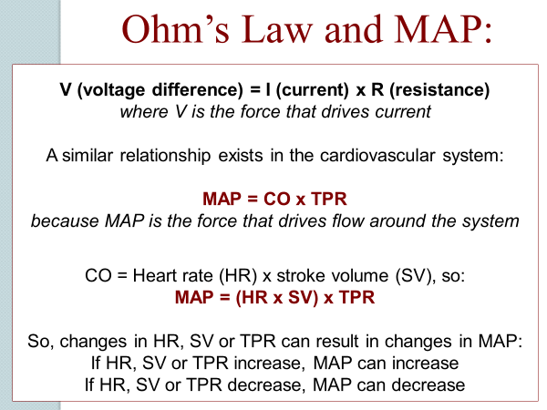 Map Co X Tpr Module 3 - Physiology & Pathology Flashcards | Chegg.com