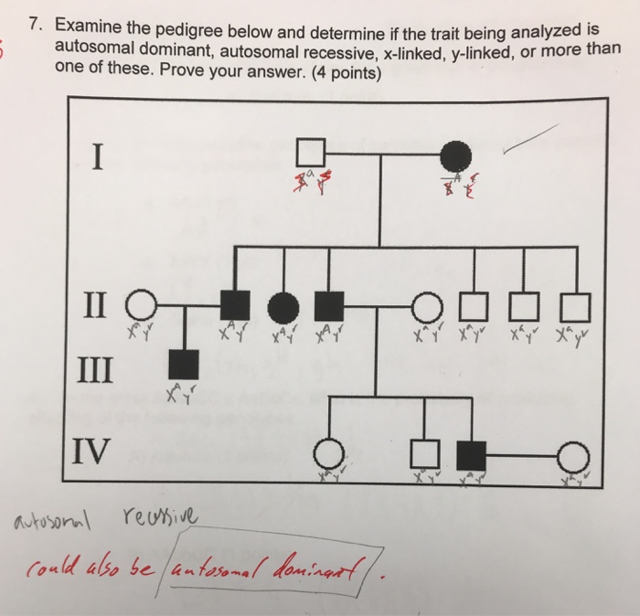 Solved 7. Examine the pedigree below and determine if the | Chegg.com