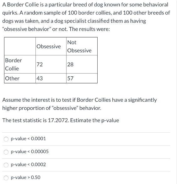 are border collies obsessive