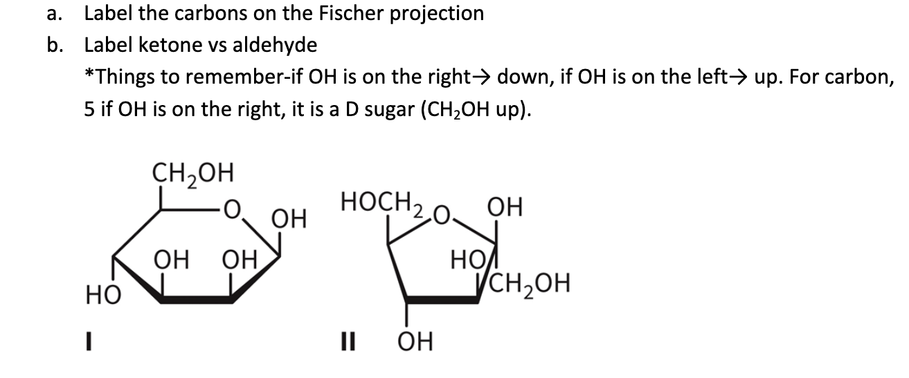 Solved а. Label the carbons on the Fischer projection b. | Chegg.com