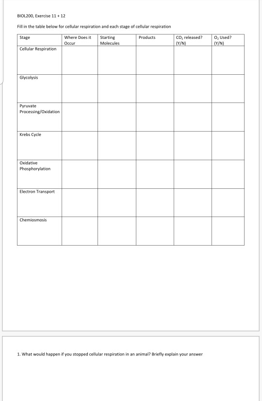 Solved BIOL200, Exercise 11+12 Fill in the table below for | Chegg.com