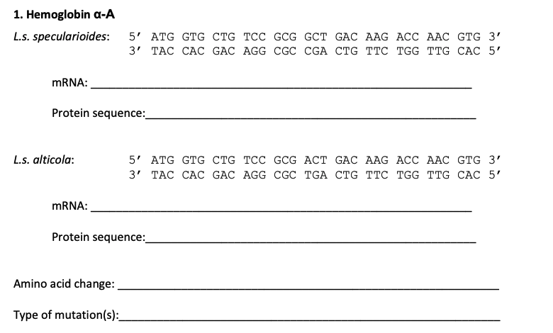 Solved 1. Hemoglobin a-A L.s. specularioides: 5' ATG GTG CTG | Chegg.com