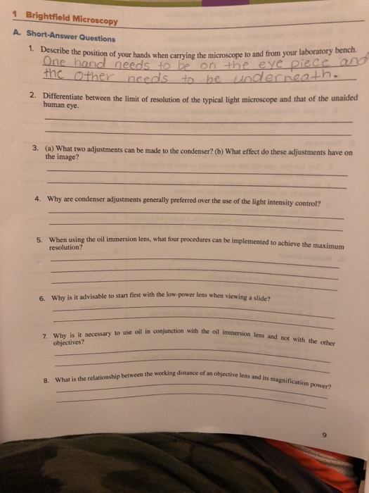 Solved 1 Brightfield Microscopy 1. Describe the position of