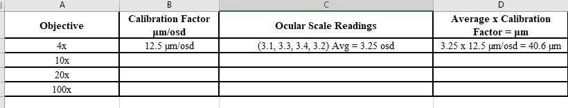 А B Objective Ocular Scale Readings Calibration Factor um/osd 12.5 um osd D Average x Calibration Factor = um 3.25 x 12.5 um