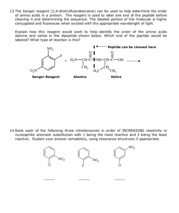 Solved 13.The Sanger reagent (2,4-dinitrofluorobenzene) can | Chegg.com