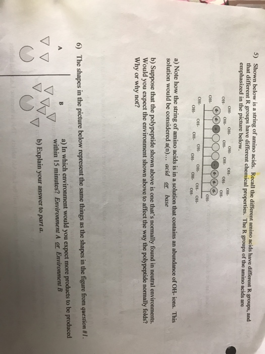 Solved 5) Shown below is a string of amino acids. Recall the | Chegg.com