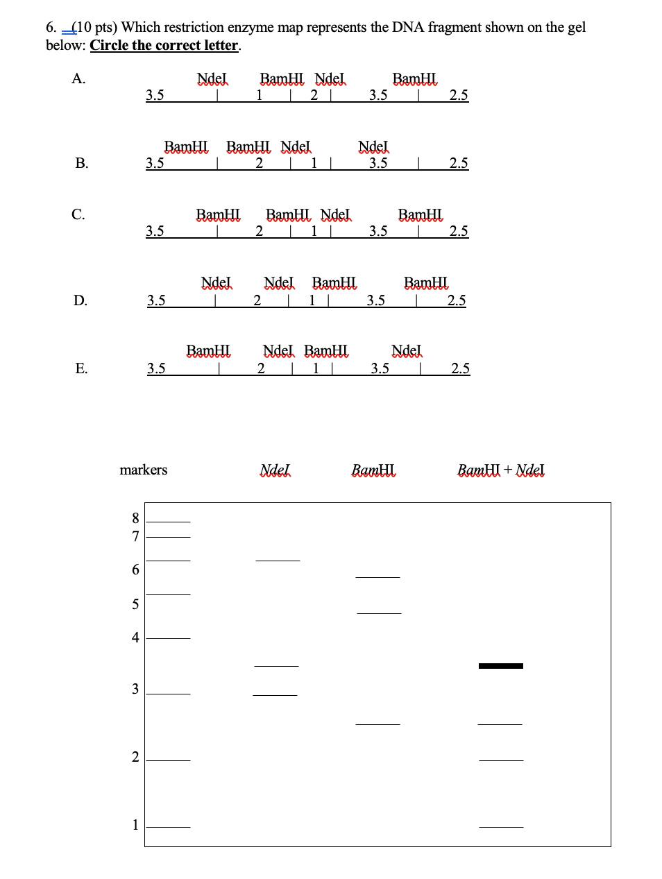 Solved 6. (10 pts) Which restriction enzyme map represents | Chegg.com