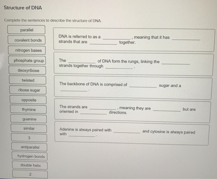 dna