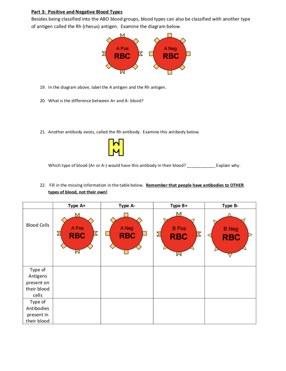Solved Part 3: Positive and Negative Blood Types Besides | Chegg.com