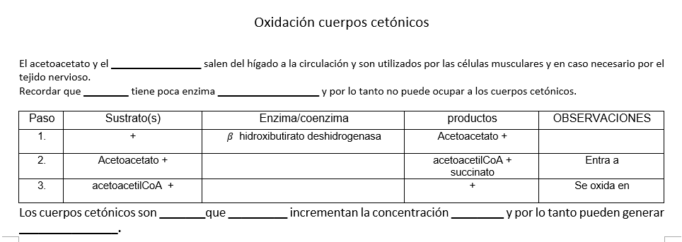 Oxidación cuerpos cetónicos El acetoacetato y el tejido nervioso. Recordar que salen del hígado a la circulación y son utiliz