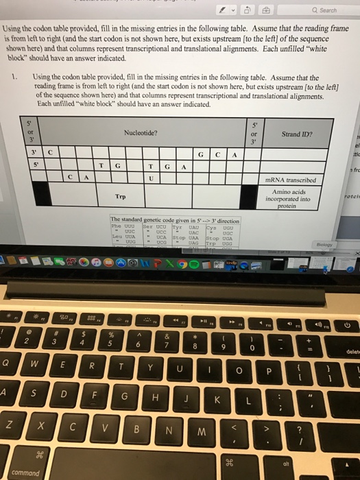 Solved Using the codon table provided, fill in the missing | Chegg.com
