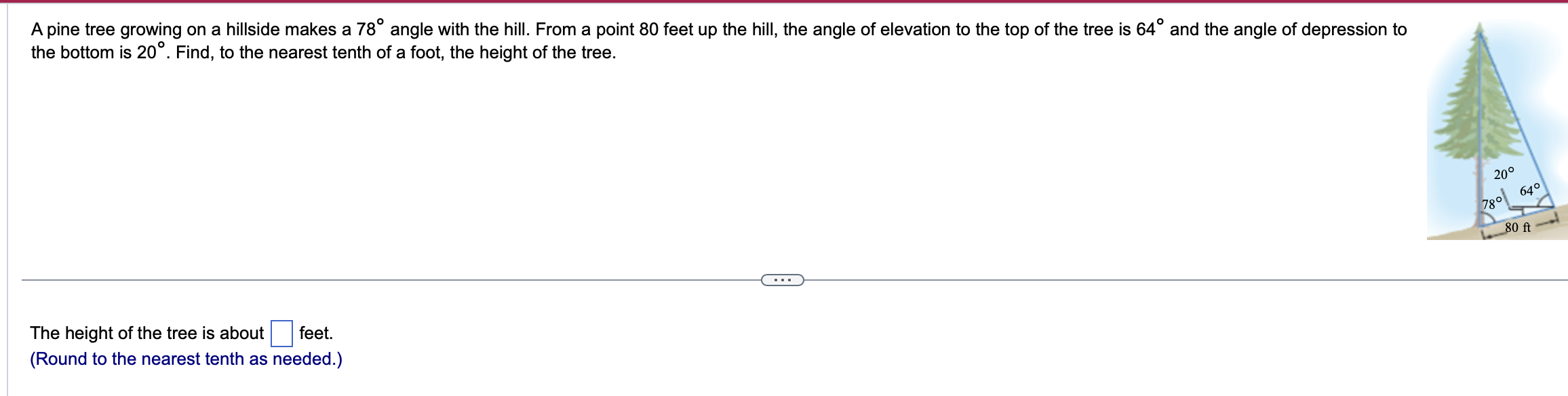 Solved A pine tree growing on a hillside makes a 78∘ angle | Chegg.com