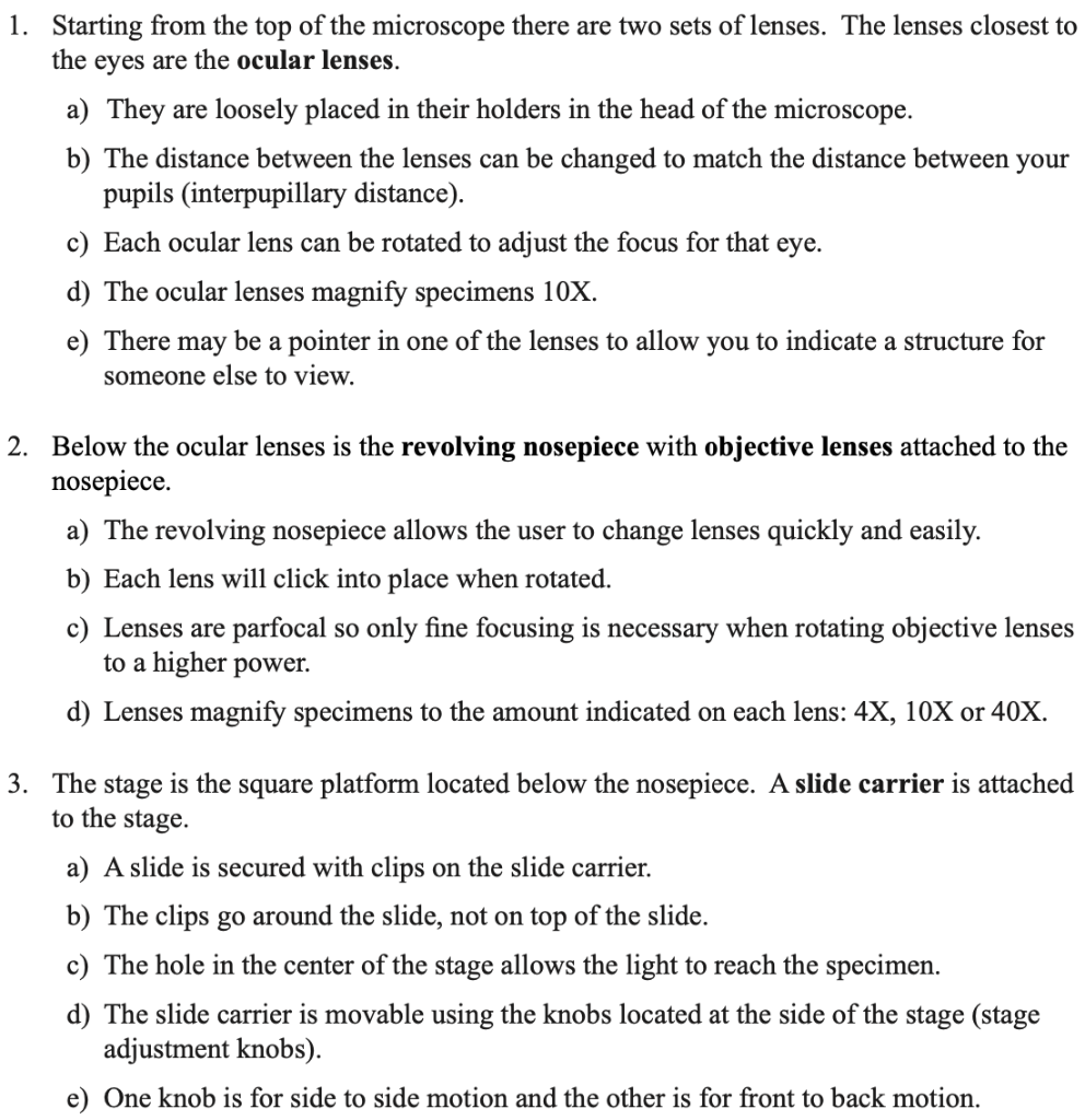 Solved 1. Starting from the top of the microscope there are | Chegg.com