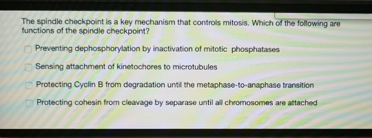 Solved The spindle checkpoint is a key mechanism that Biology Diagrams