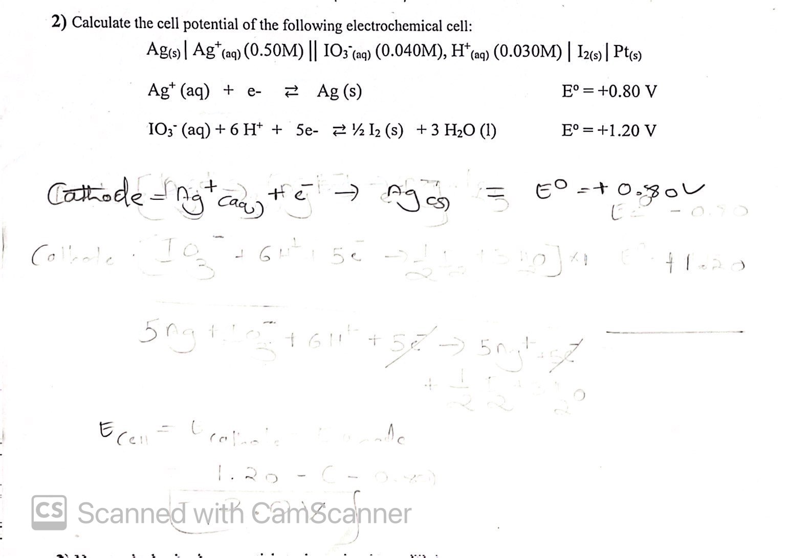 Solved Calculate the cell potential of the following | Chegg.com