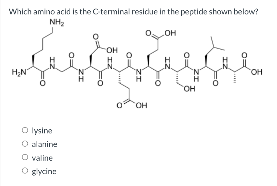 Solved Which amino acid is the C-terminal residue in the | Chegg.com