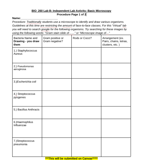 Solved B1O 260 Lab B: Independent Lab Activity: Basic | Chegg.com