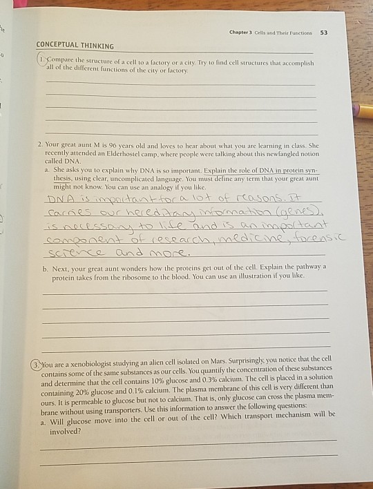 Solved I need help with #1. I understand the structure of a | Chegg.com