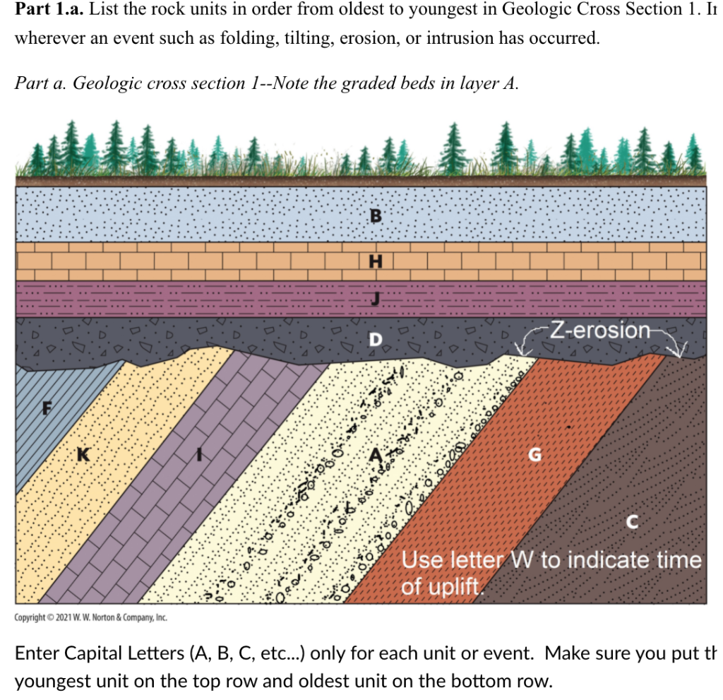 Solved Geologic Cross Section (p 311) List The Rock, 47% OFF